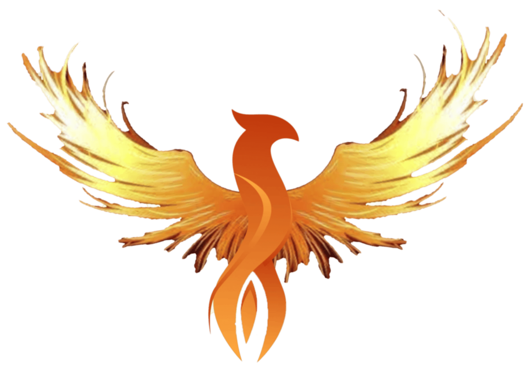 FirePhoenixDev